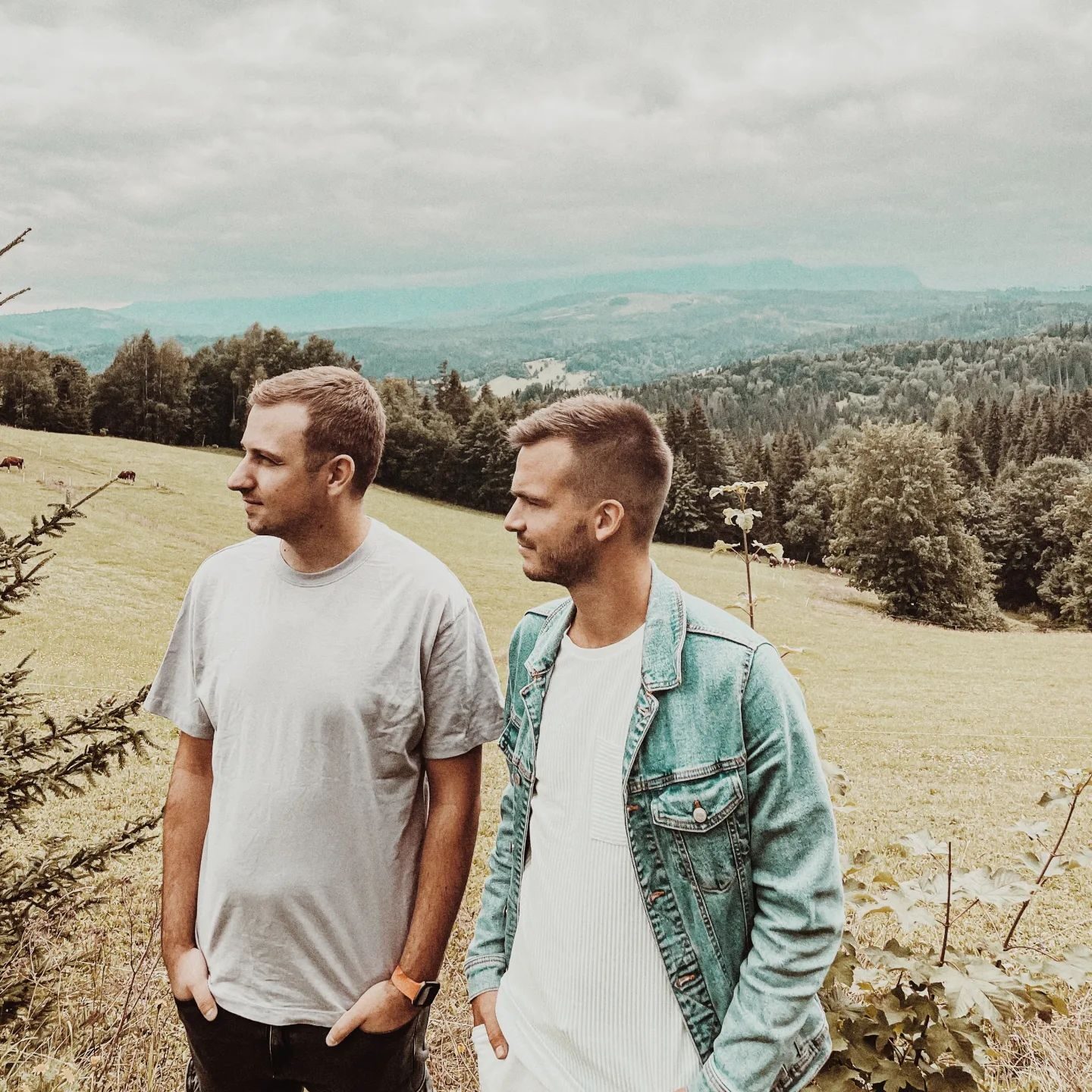 diviners